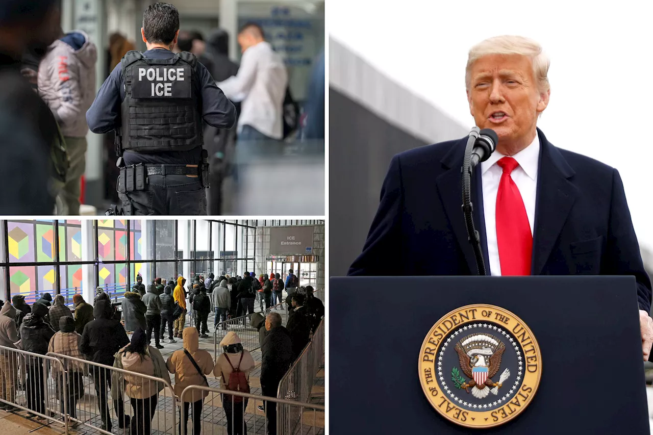 ICE officers prepping for 'big f--king operation' across sanctuary cities immediately after Trump inauguration