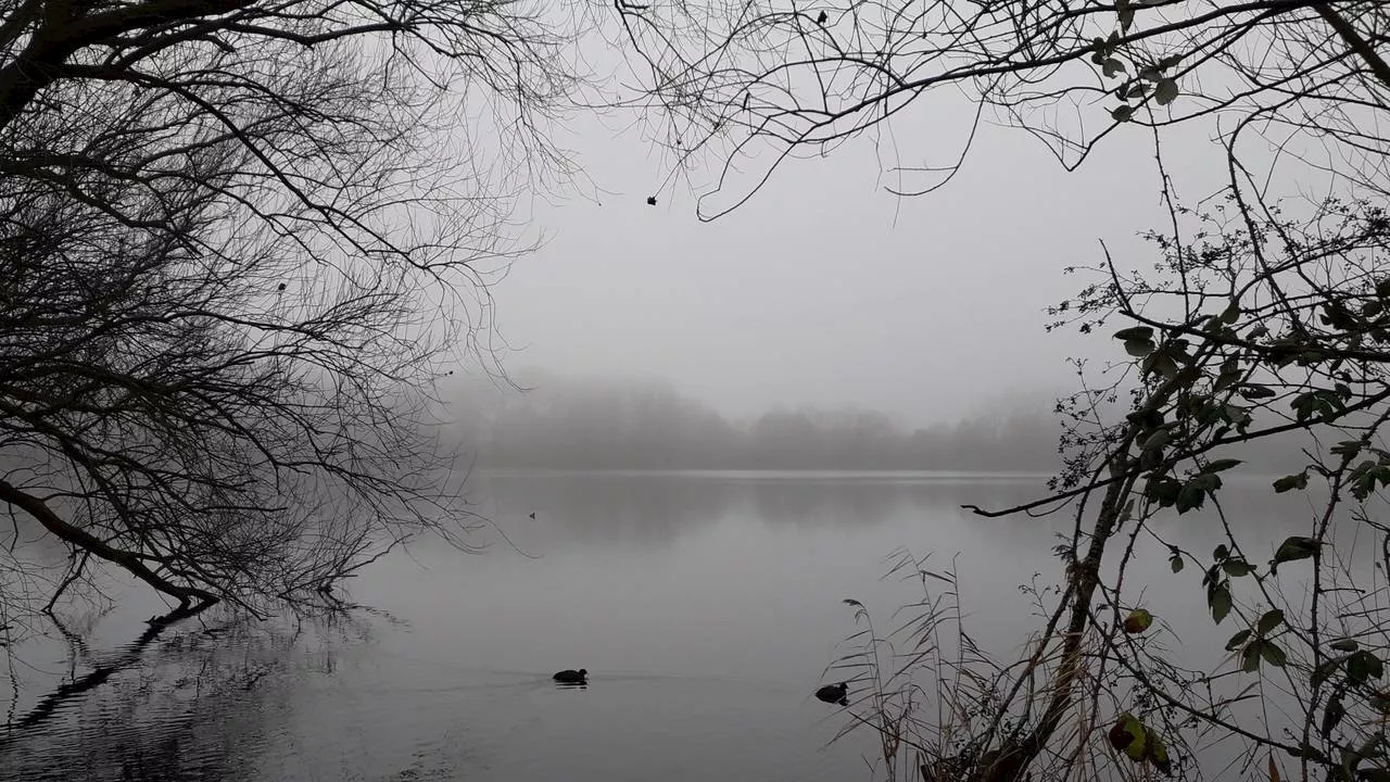 Geen streepje blauw te zien: dit is waarom we al dagen in de mist zitten