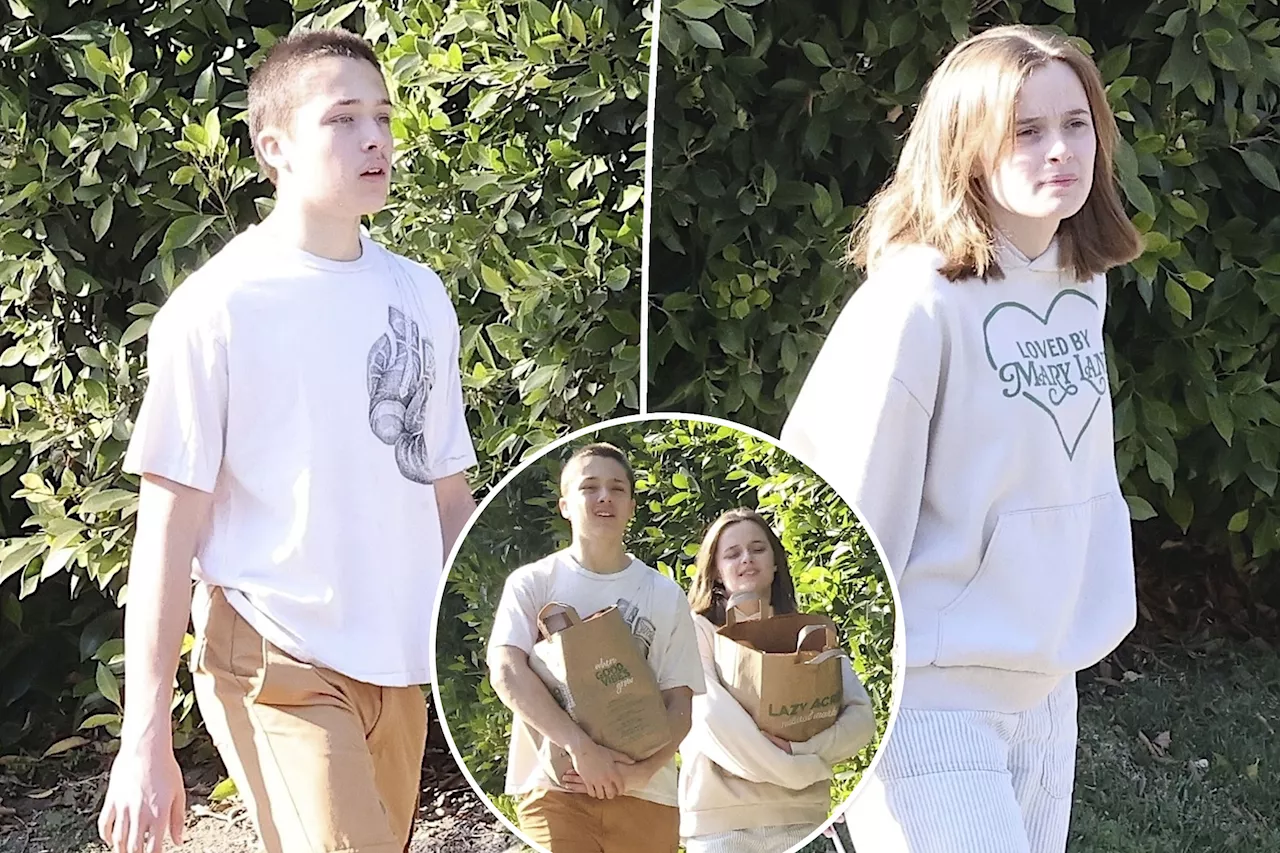 Angelina Jolie's 16-year-old twins, Knox and Vivienne, go on another grocery run as mom helps LA fires victims