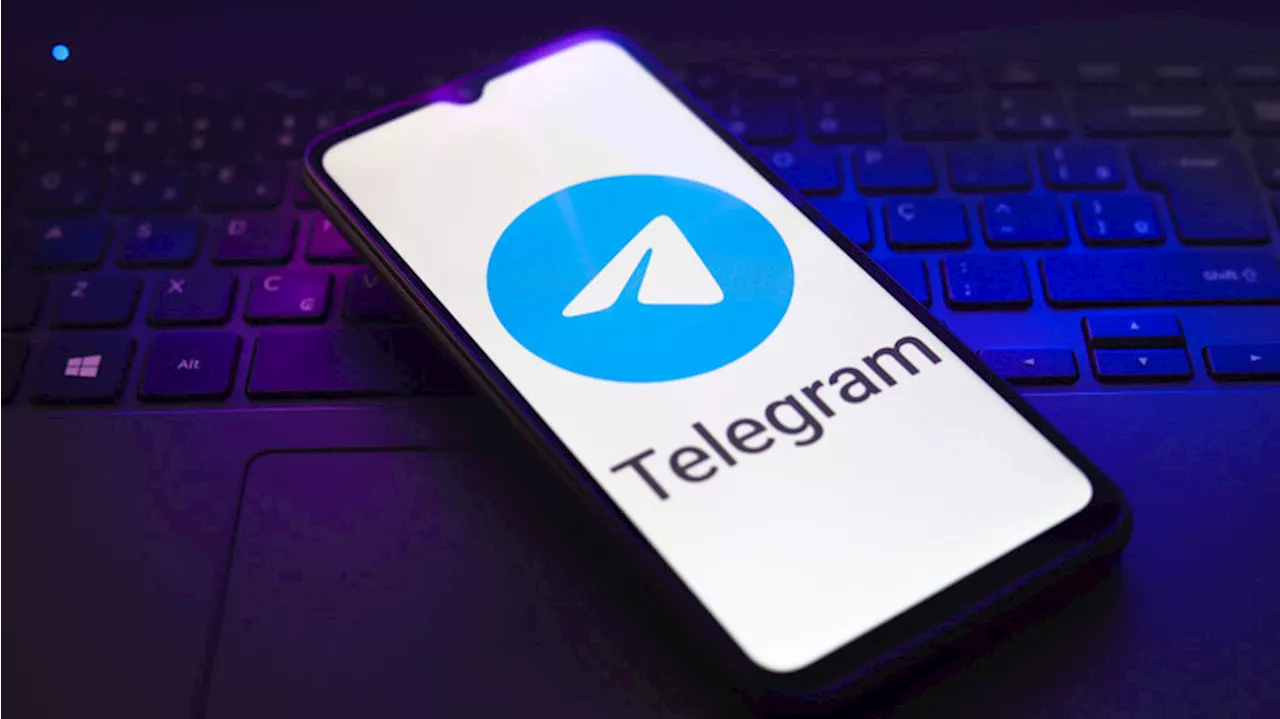 Депутат Немкин: мошенники активно переходят из WhatsApp в Telegram