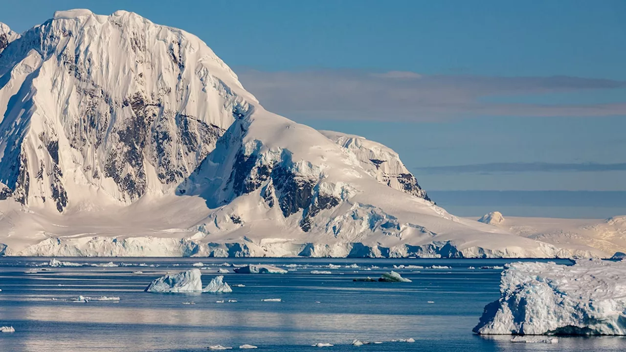 'L'évolution de la vie': plus de 100 météorites découvertes par des chercheurs belges en Antarctique