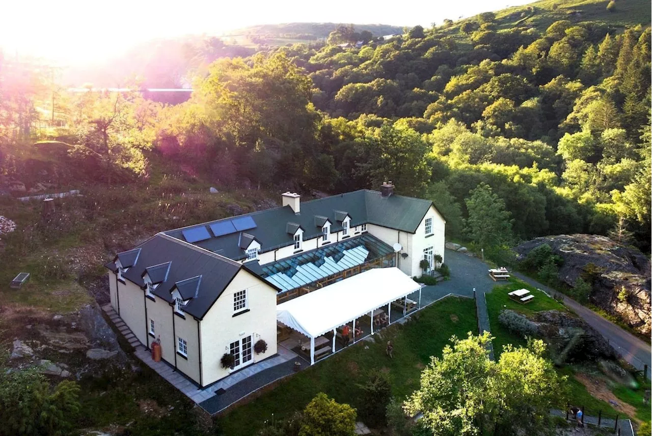 Beloved Powys tearoom and guesthouse to reopen following revamp and investment