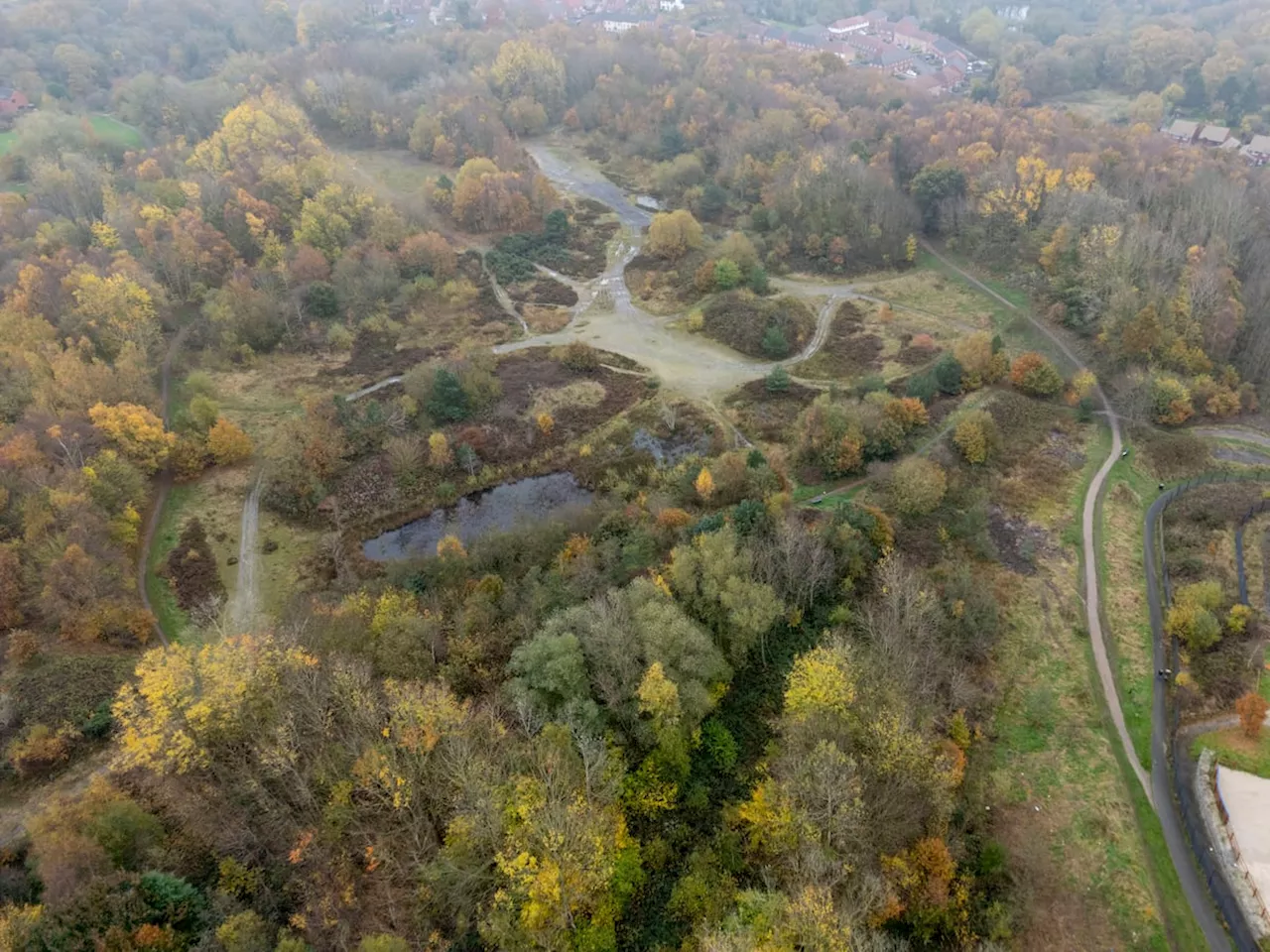 Telford Ranked as One of the Greenest Places to Live in the UK