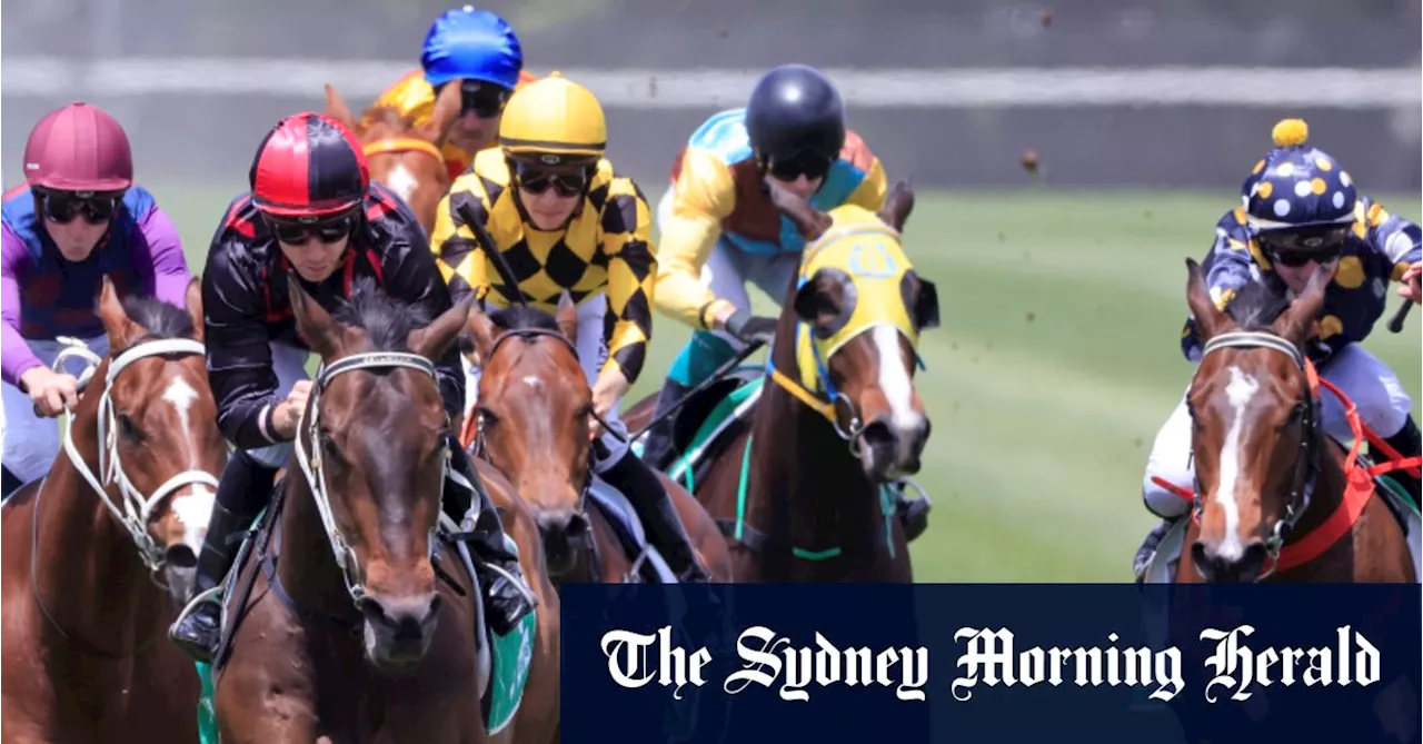 Race Preview: A Competitive Field with Several Contenders
