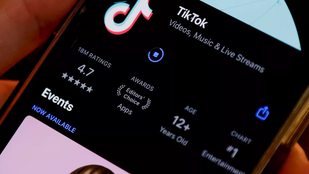 Appell an US-Regierung: TikTok sieht sich gezwungen, Videoplattform ab Sonntag zu sperren