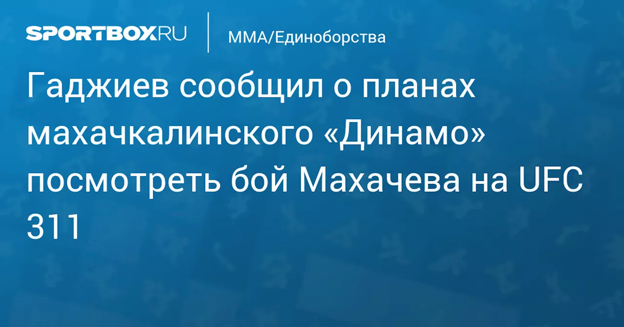 Футболисты «Динамо» будут болеть за Ислама Махачева на турнире UFC 311