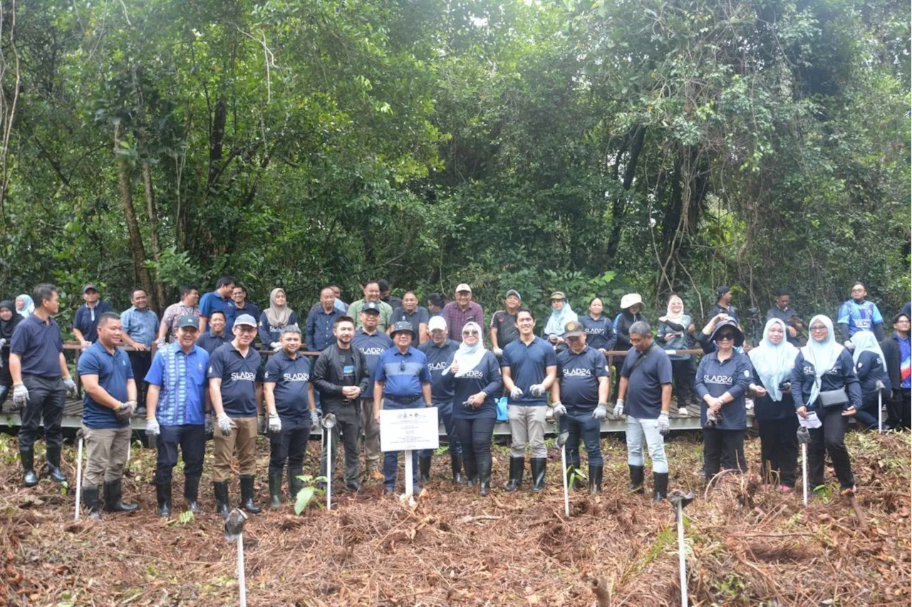Sabah’s reforestation drive gains momentum with I.P.L.A.N.T.