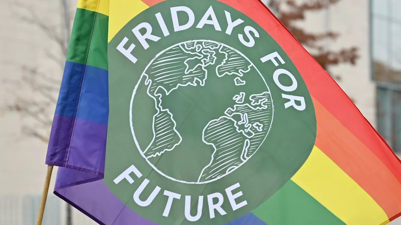 Fridays for Future wäre die bessere Grünen-Partei (Meinung)