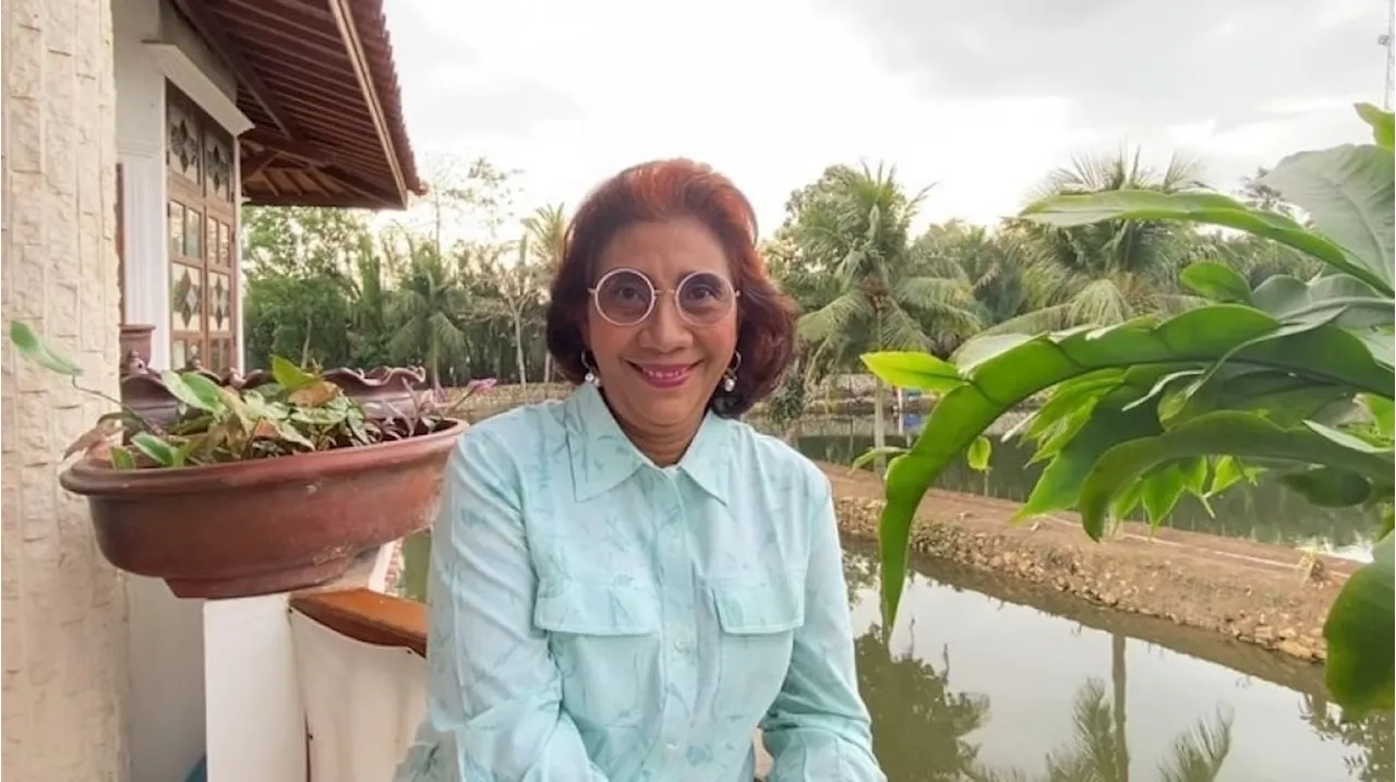 Imbas Cuitan Susi Pudjiastuti Viral, Maling Kayu Selamat dari Ancaman Penjara 5 Tahun