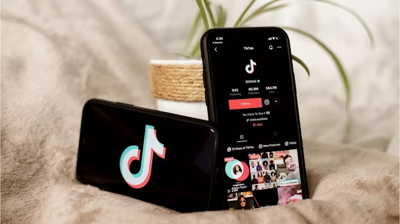 Pemerintah AS Larang Penggunaan TikTok, Jumlah Pengguna RedNote Meroket