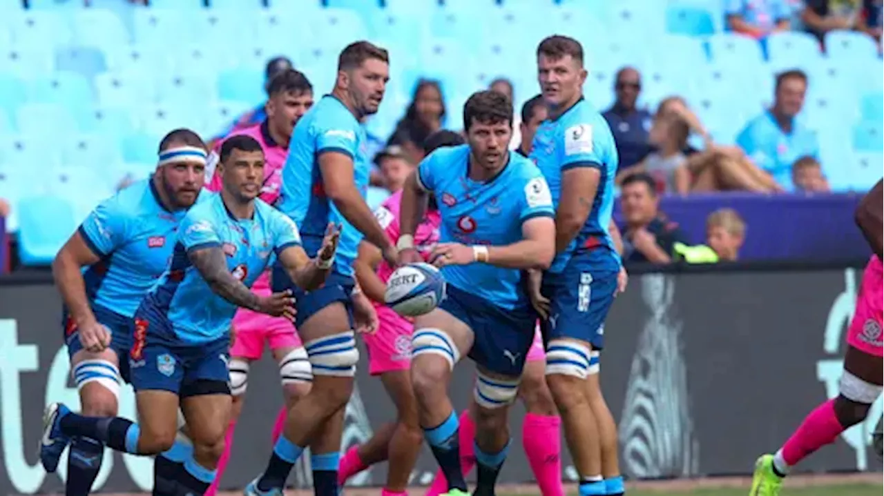 Vodacom Bulls Dominate Stade Francais, Secure Challenge Cup Spot