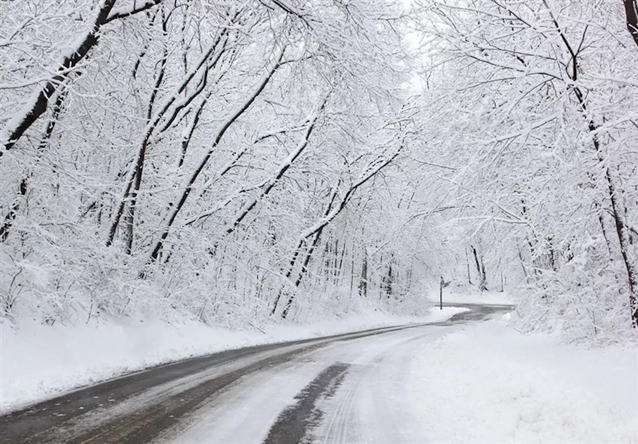 meteoroloji teşkilatı, yağış sistemi nedeniyle turuncu seviyede uyarı yayınladı