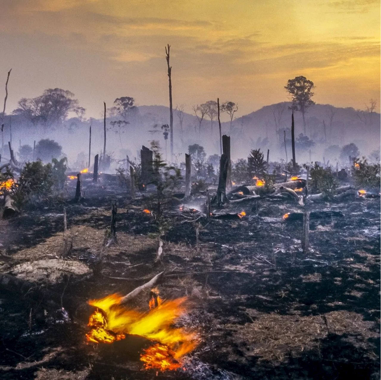 2024: O Ano de Catástrofes Climáticas Extintas