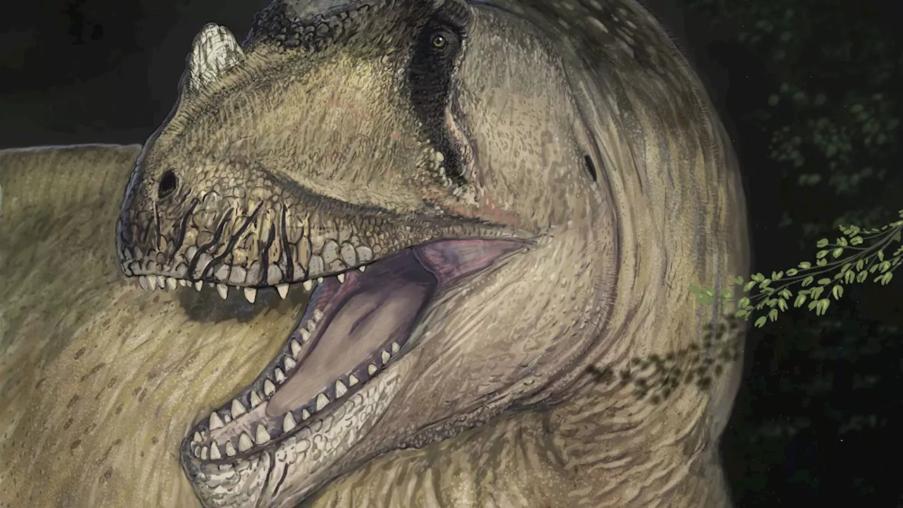 Unearthed Dinosaur Fossil Reveals New Species