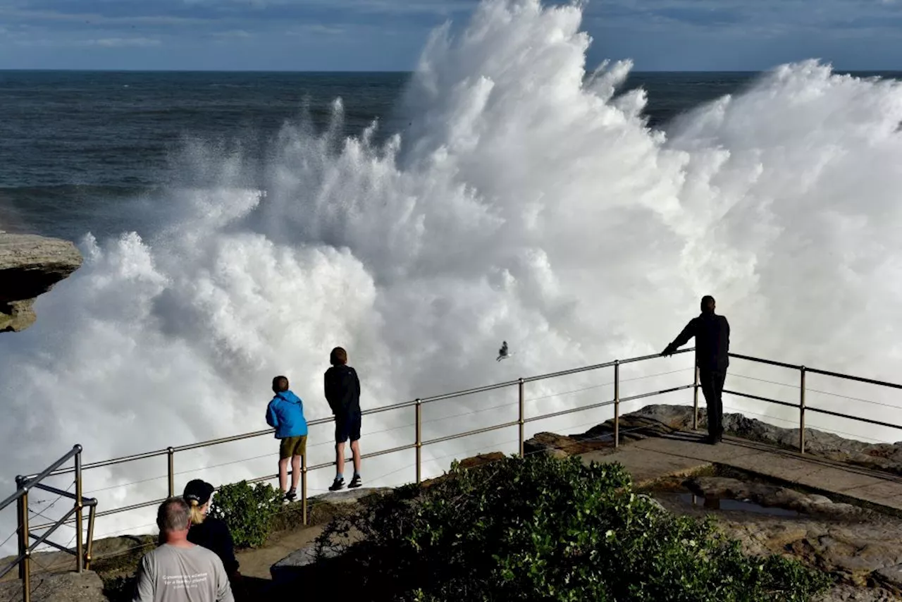 Puluhan ribu penduduk di New South Wales terputus bekalan elektrik