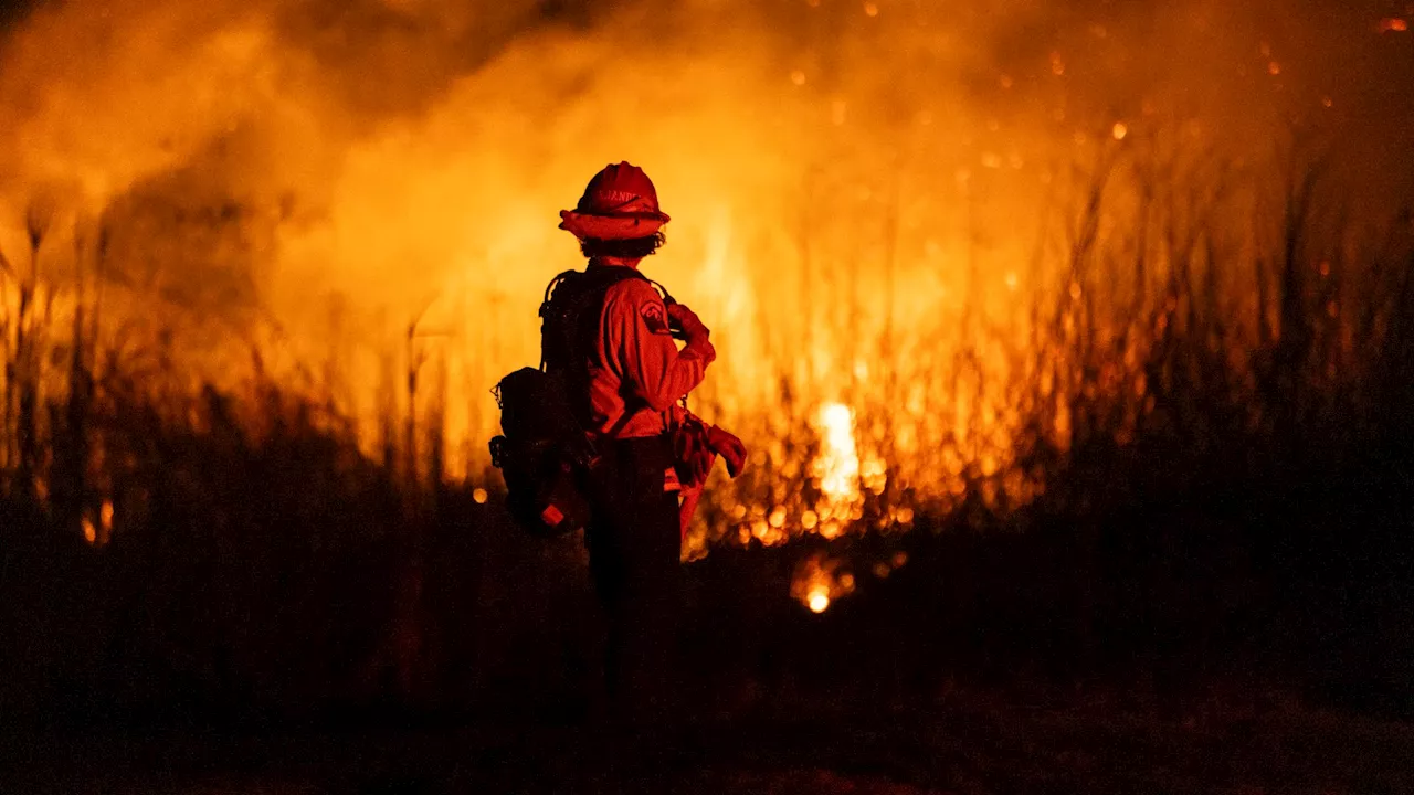 Incendios en California, Tornado de Fuego y Cuatridemia: las noticias más vistas en Univision