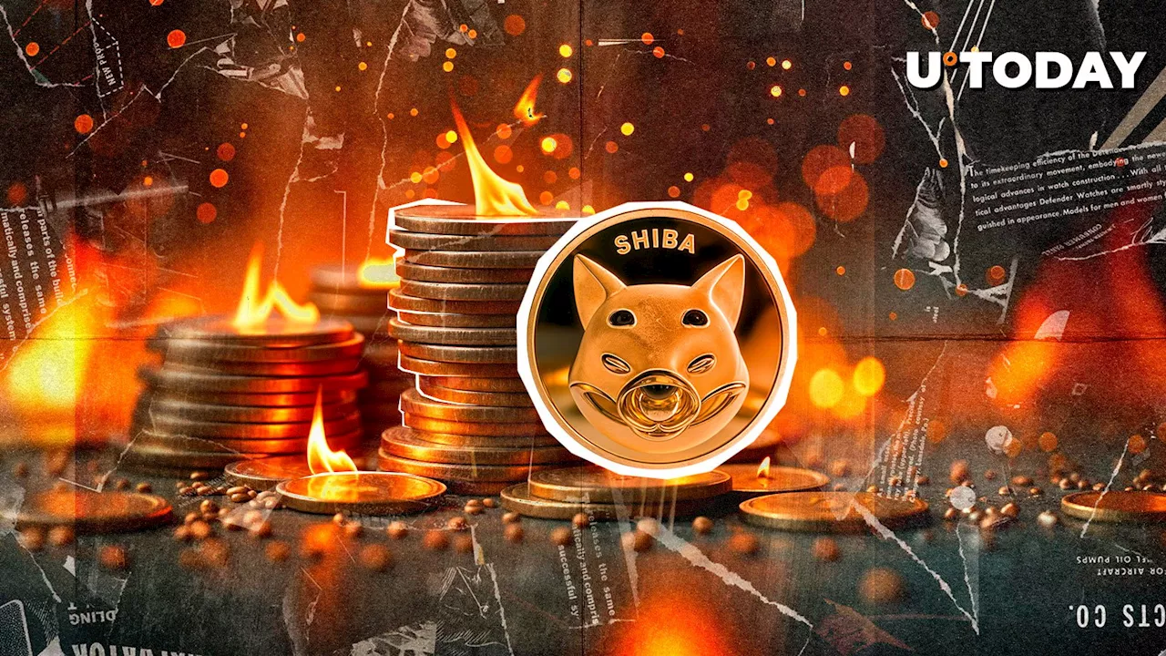 SHIB Price Collapses as 66 Million Coins Burned Out of Circulation