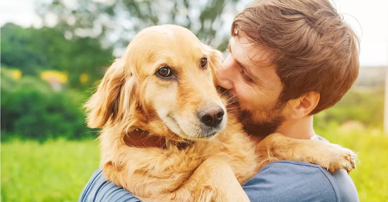 Vai levar seu cão à praia? Saiba os cuidados necessários