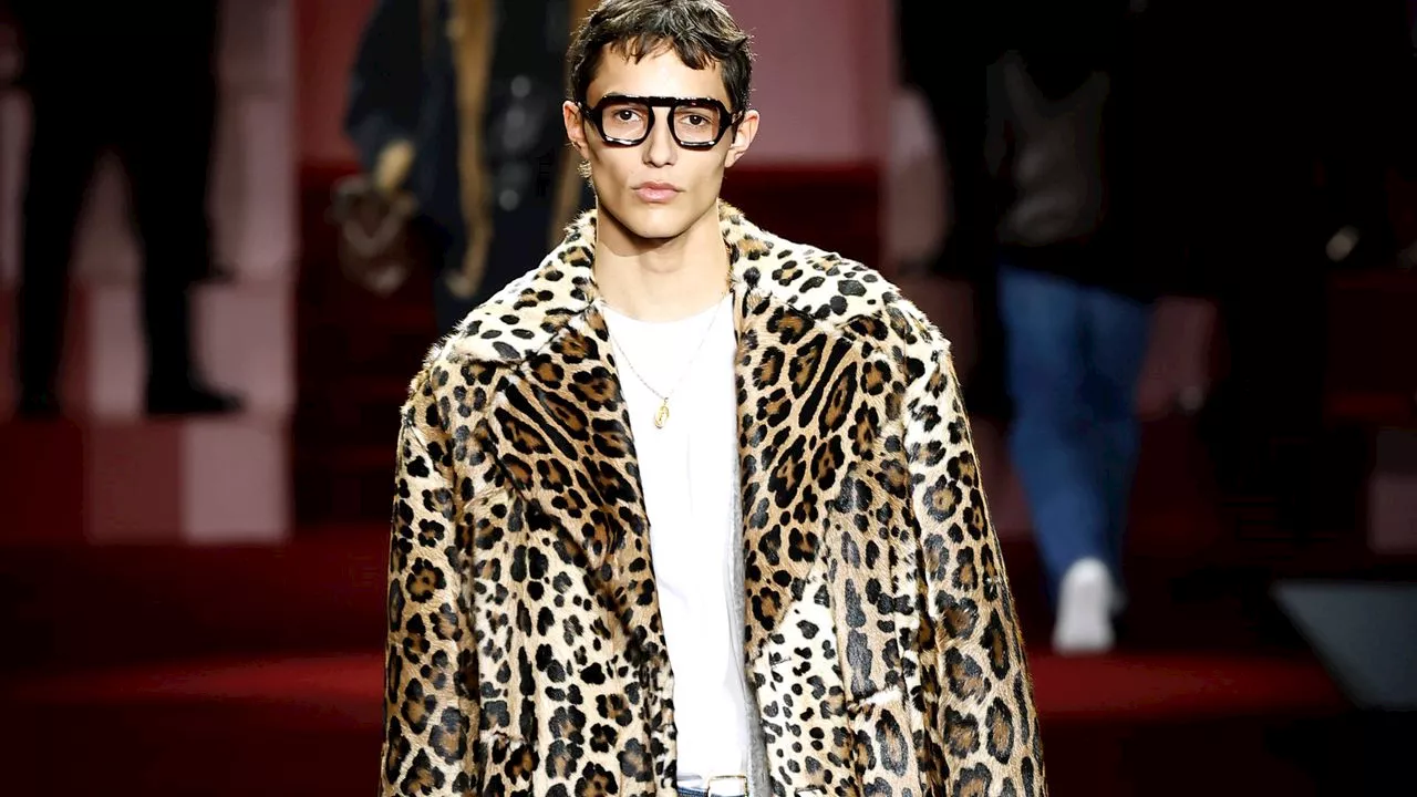 Dolce&Gabbana Sfilata Uomo Autunno Inverno 2025 2026: Paparazzi e l'Italian Beauty nell'Easywear Sartoriale