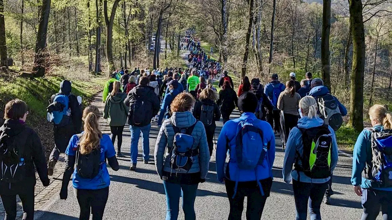 Hermannslauf nach Bielefeld: Kurz vor der Anmeldung gibt es Streit