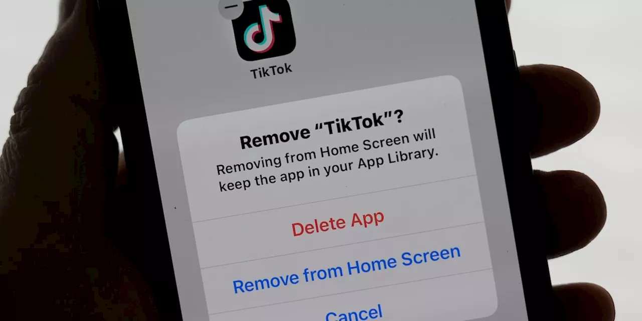 Trump Says He'll Likely Give TikTok 90-Day Extension