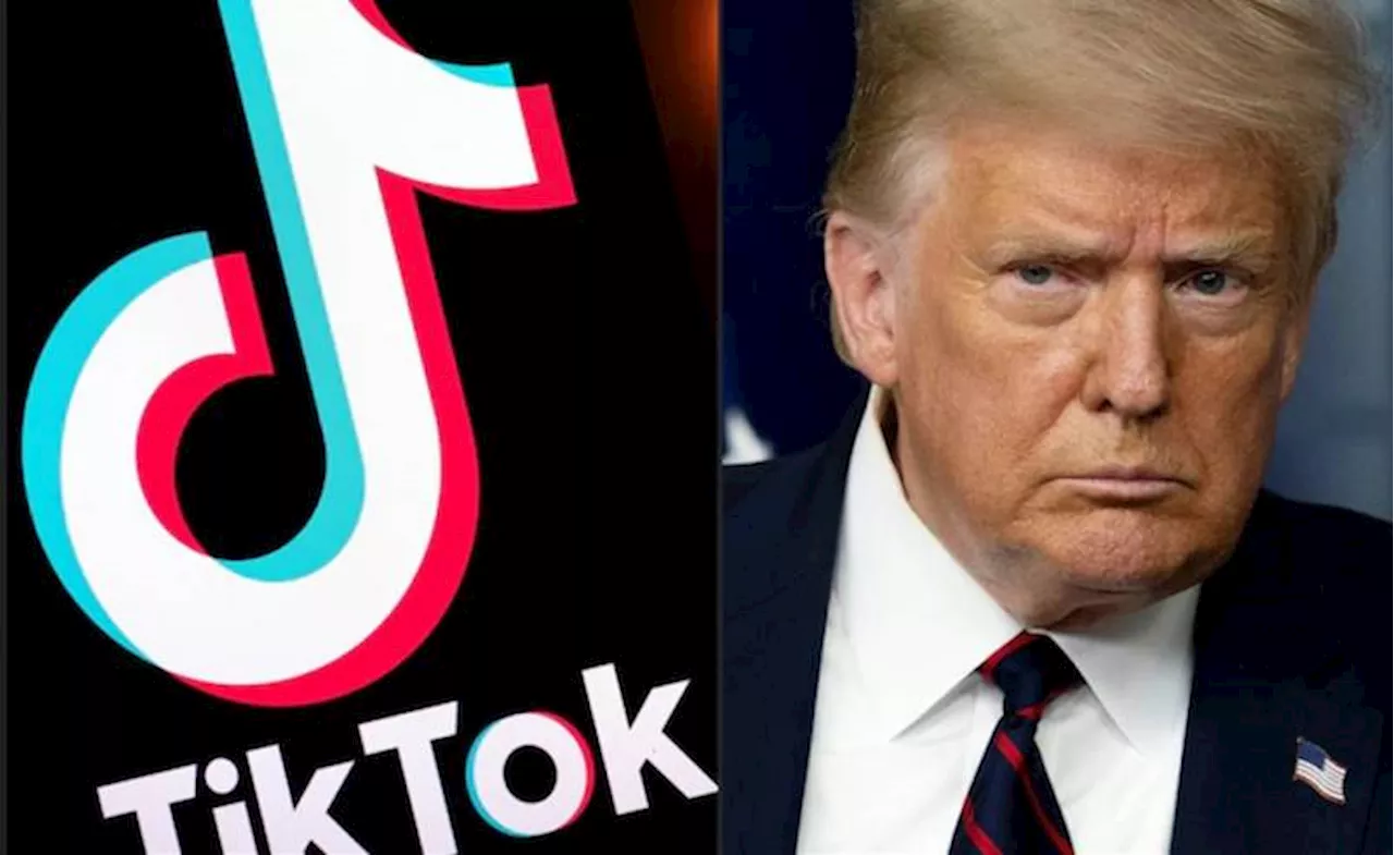 TikTok shuts down US access as Trump seeks app's reinstatement