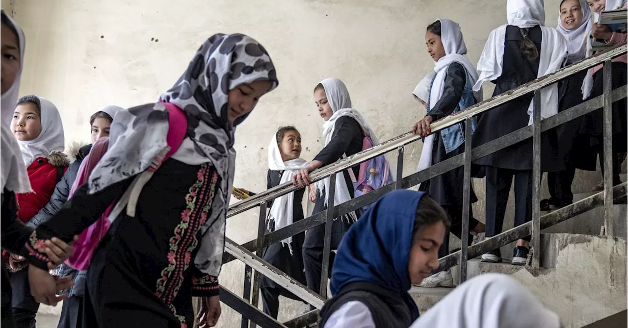 Taliban deputy calls on leader to reverse education ban on women, girls