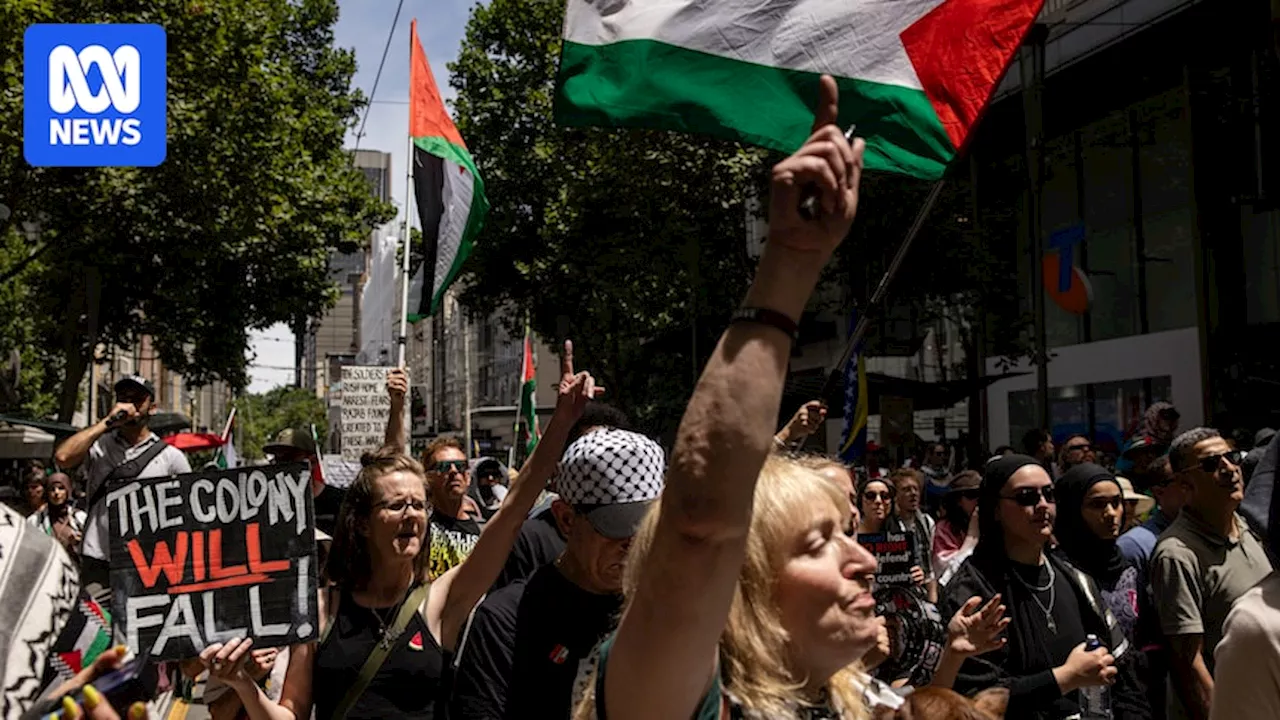 Thousands gather at pro-Palestine demonstrations ahead of Israel-Hamas ceasefire