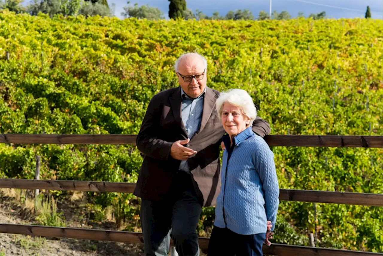 Angeli del fango a Firenze, ora producono vino