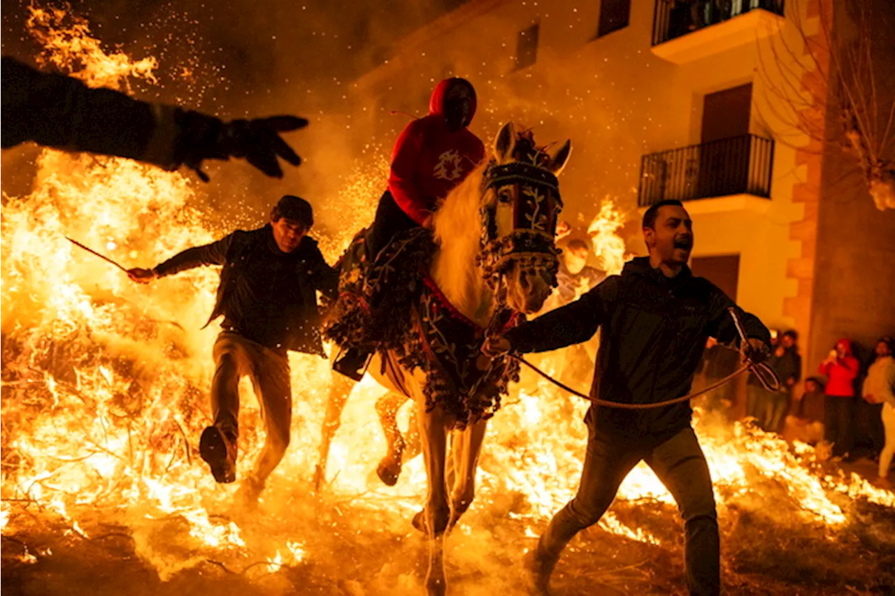 Spagna: Fiesta Matxa per Sant Antoni, patrono degli animali