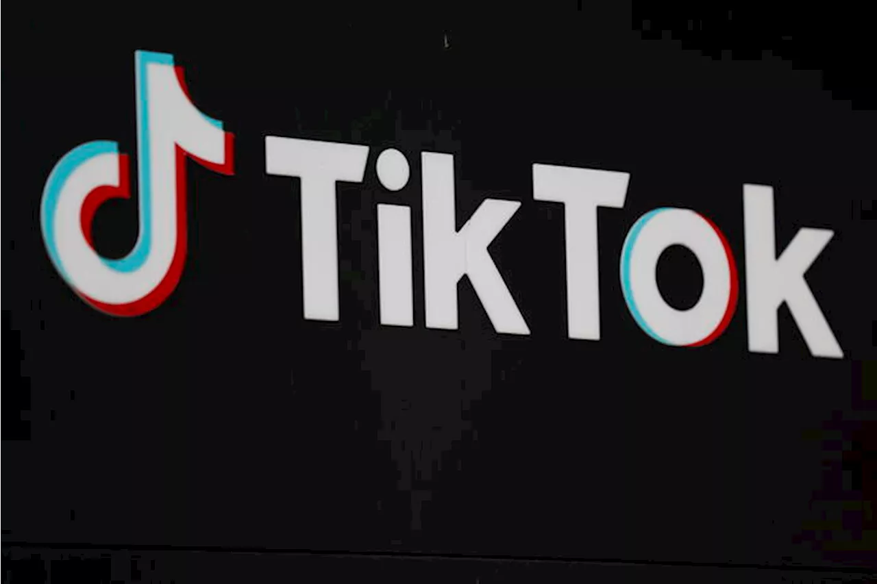 TikTok, app di video brevi da 100 miliardi dollari