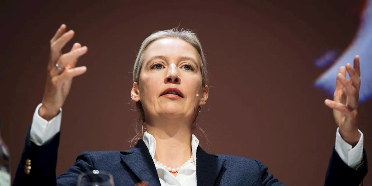 Alice Weidel: Schweizer Medien verharmlosen AfD-Politikerin