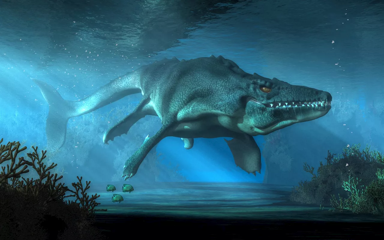 Exciting new species of mosasaur might have been a forgery, researchers claim