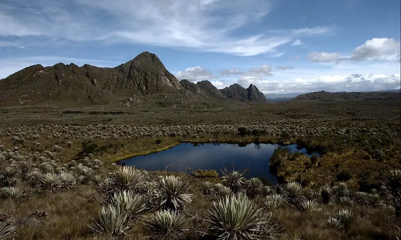 ANT recorre el páramo de Sumapaz para formalizar tierras productivas para campesino