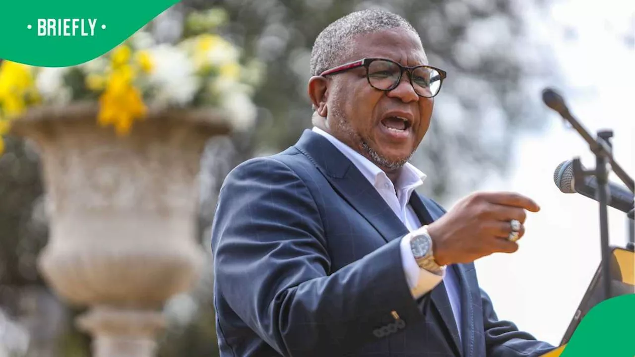 Fikile Mbalula Concerned About ANC Losing Power in Gauteng and KZN, SA Jokes It Has Already Happened