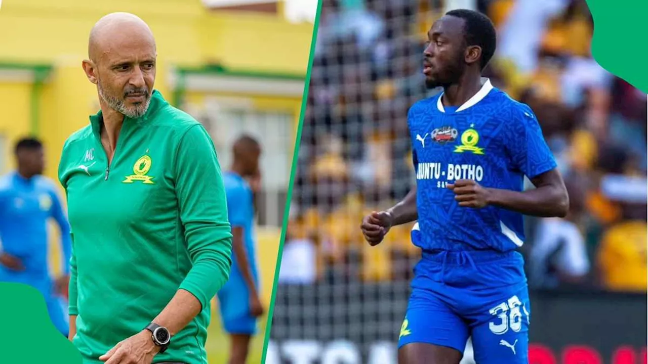 Miguel Cardoso Backs Experienced Peter Shalulile To Lead Mamelodi Sundowns to Success