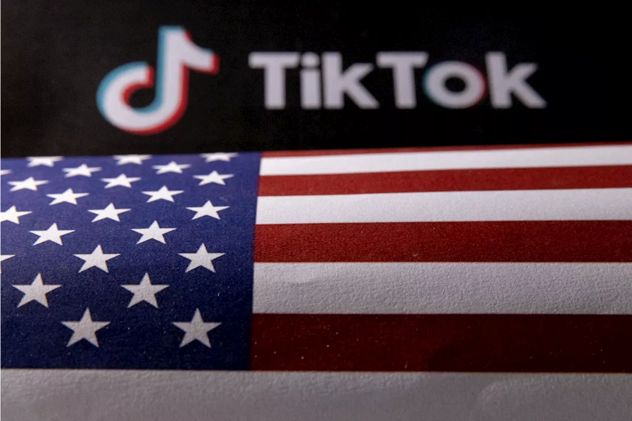 TikTok volta ao ar para alguns usuários nos EUA após declaração de Trump