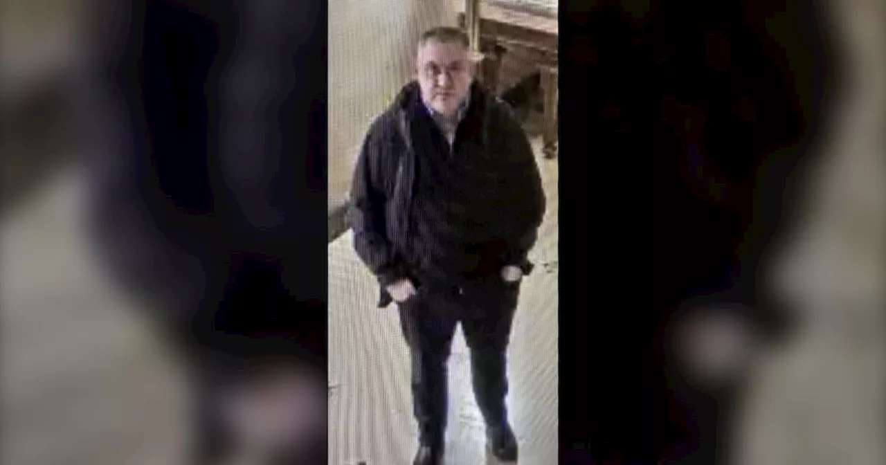 Suspect wanted after victim sexually assaulted in downtown Toronto