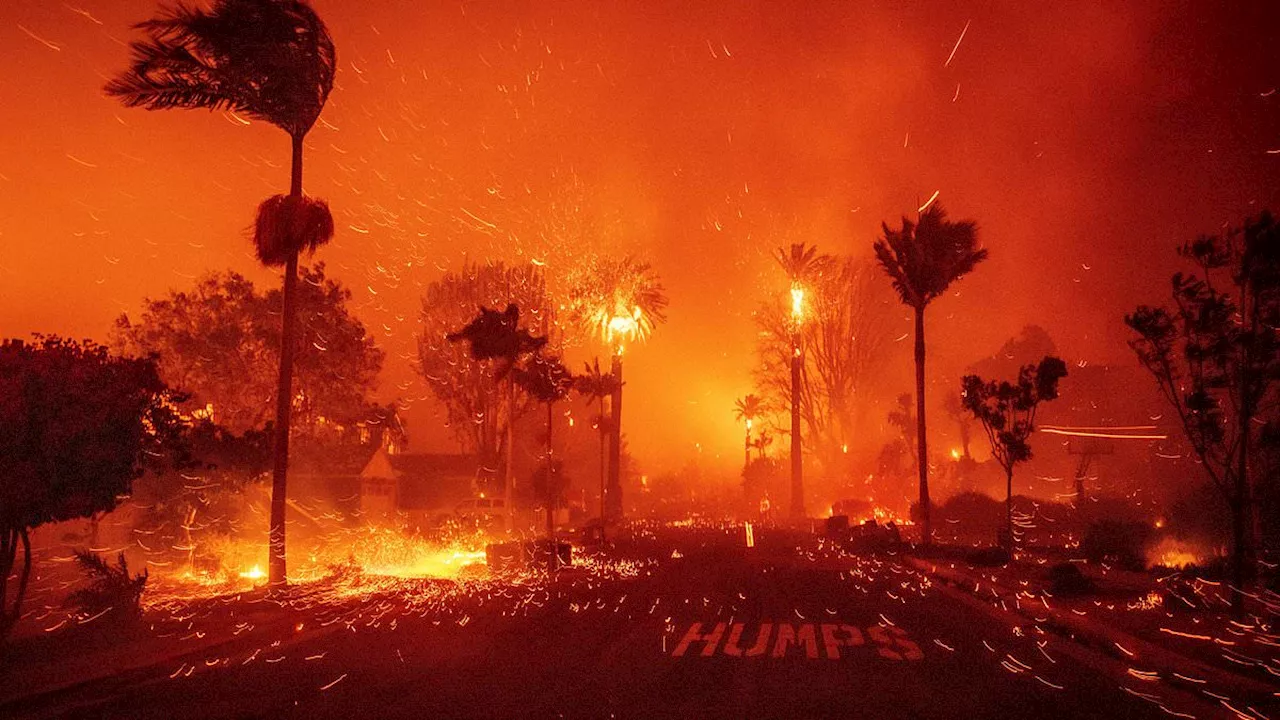 LA bracing for more catastrophic wildfires as forecasters warn of 100mph winds