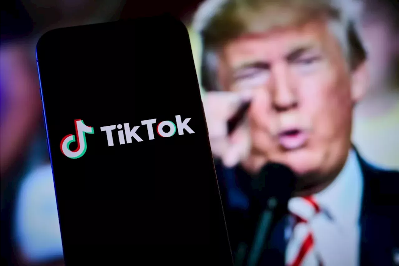 Trump announces 50% joint venture plan to revive TikTok