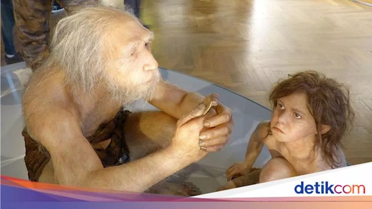 7 Perbedaan Neanderthal dan Homo Sapiens, Hampir Serupa tapi Tak Sama