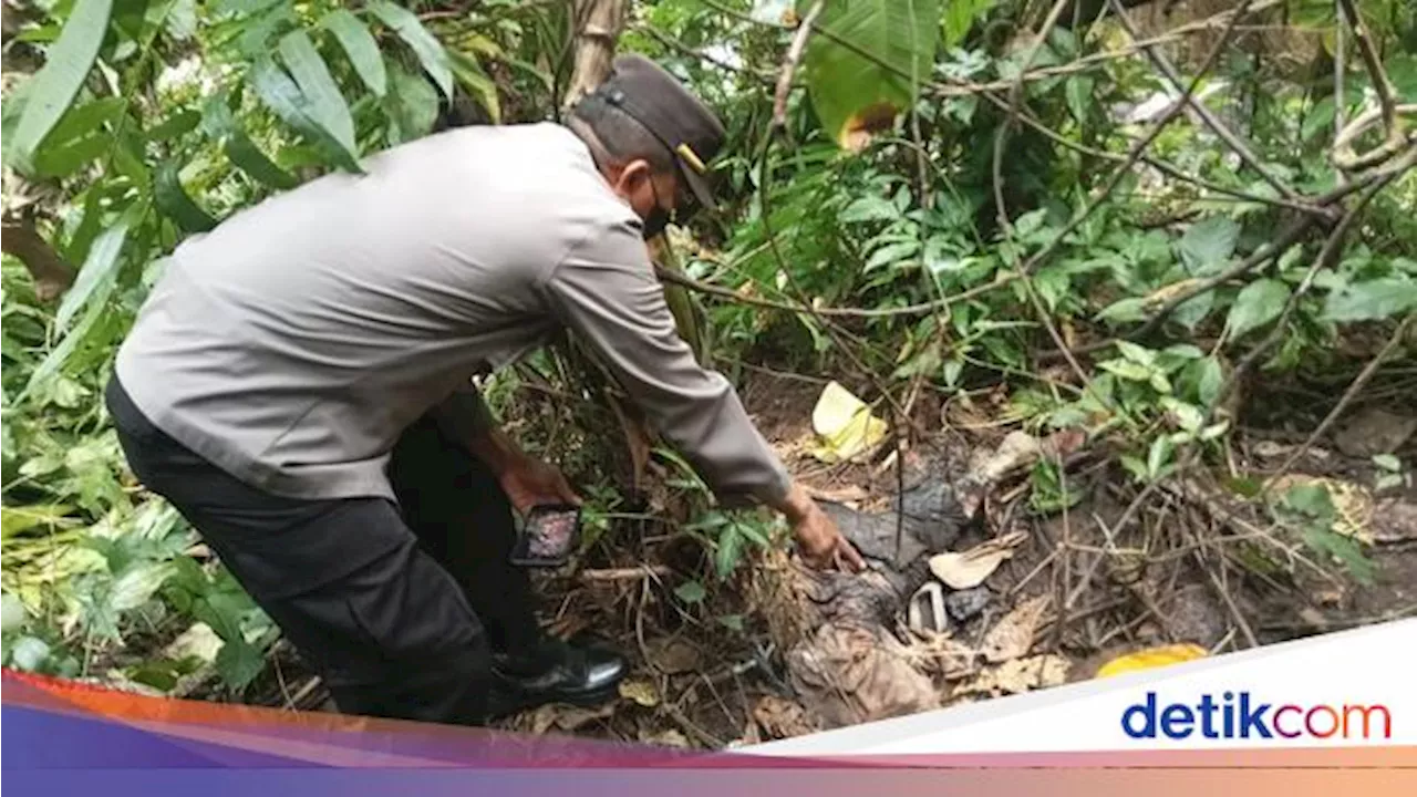 Polisi Ungkap Kisah Reno yang Ditemukan Tinggal Tengkorak di Purbalingga