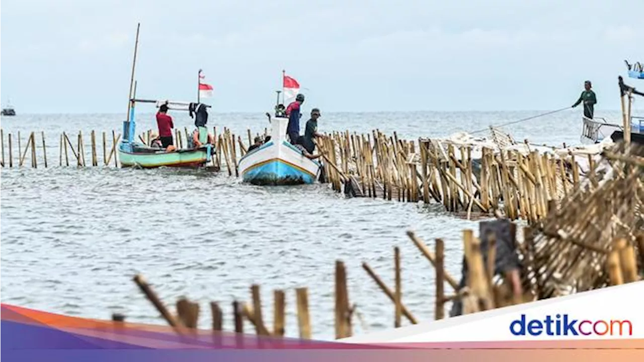 Heboh Pagar Laut di Tangerang Dibongkar, Menteri Kelautan Minta Ditunda