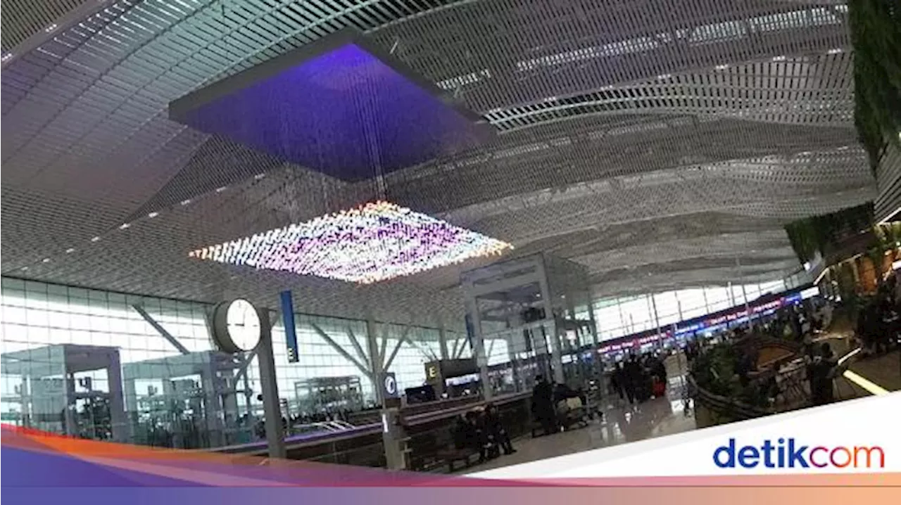 Penutupan Bandara Internasional Muan Diperpanjang hingga 18 April 2025