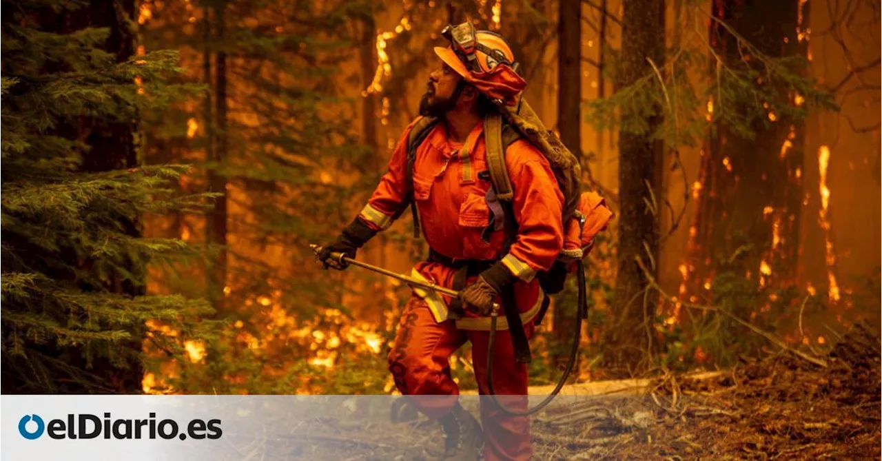 'Servidumbre involuntaria': 1.100 presos luchan como bomberos contra el fuego en Los Ángeles