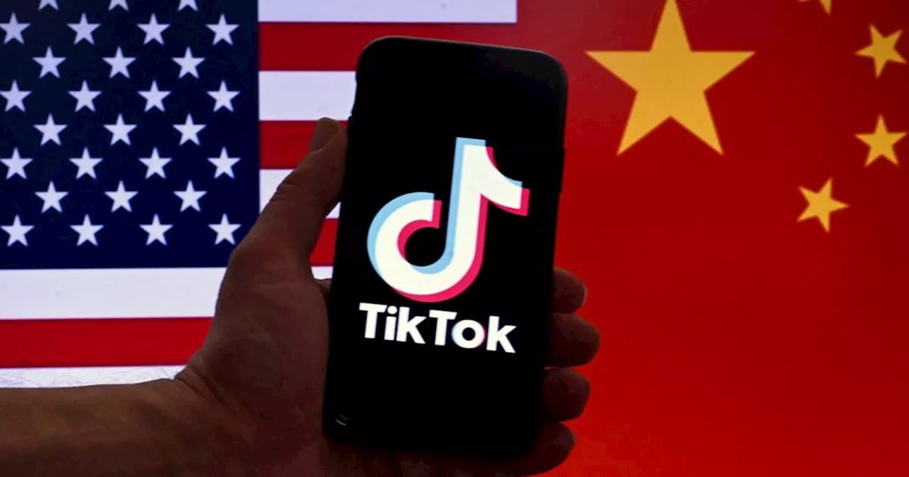 TikTok suspends app within United States