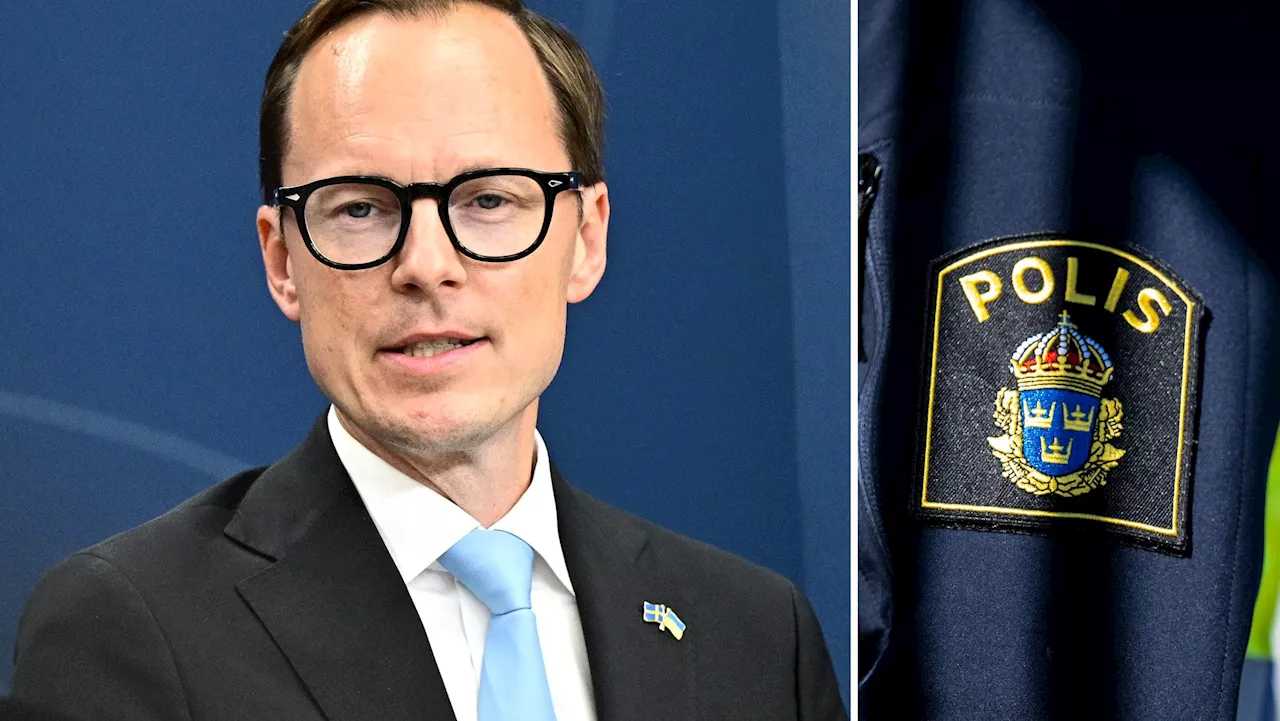 Så vill ministern förebygga våldtäkt bland invandrare