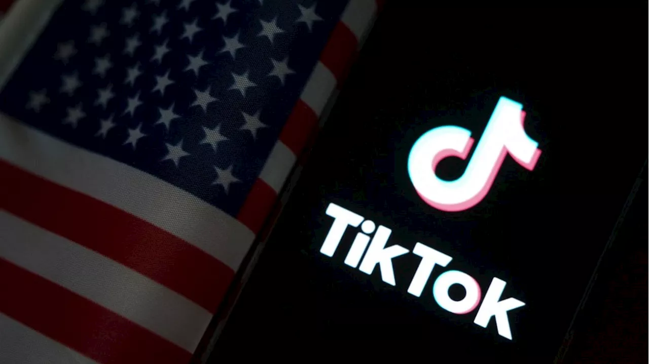 Le réseau social TikTok est officiellement inaccessible aux Etats-Unis