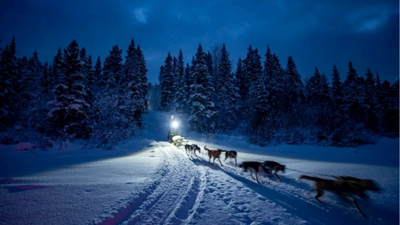 My Arctic adventure aboard the ‘Northern Lights Express’