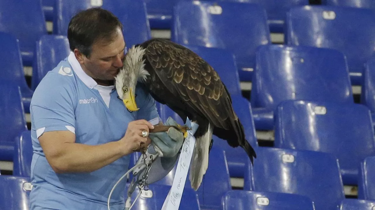 Il falconiere Bernabé: 'Chiedo scusa, se Lotito non mi vuole me ne andrò'. Ma intanto resta a Formello